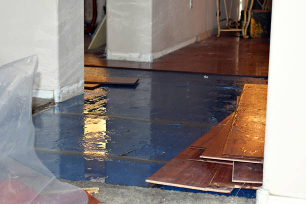 Professional Basement Water Removal technician working in Tarpon Springs, FL